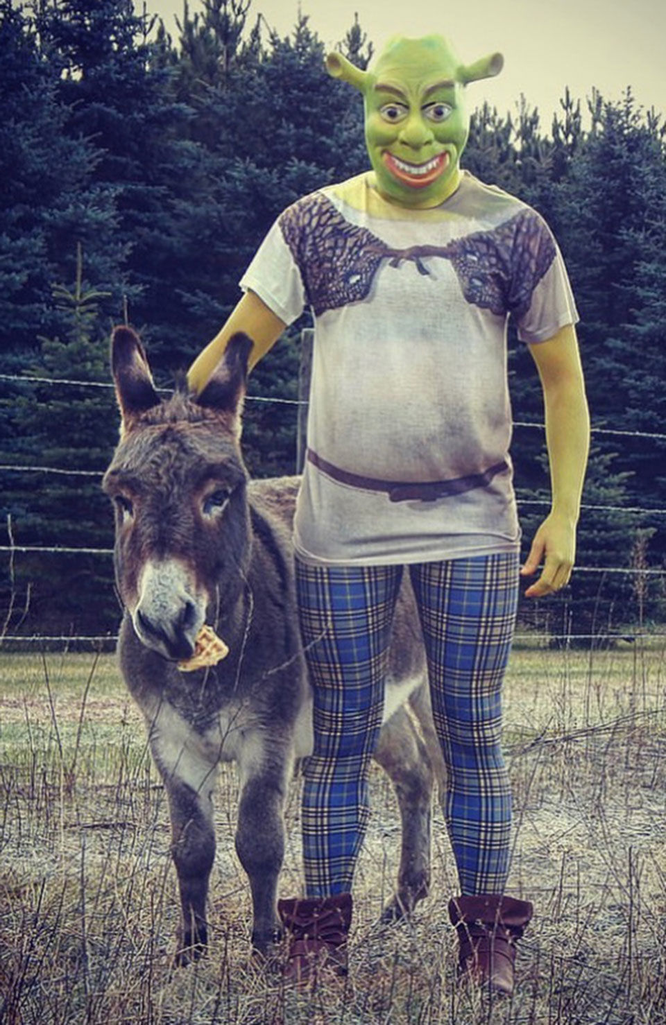 Retired rodeo donkey finds fame on Tik Tok